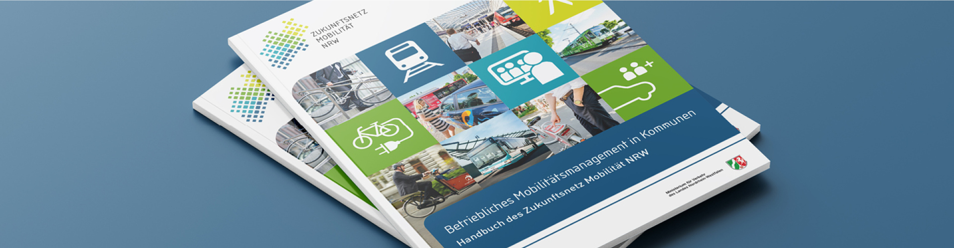 Betriebliches Mobilitätsmanagement Handbuch